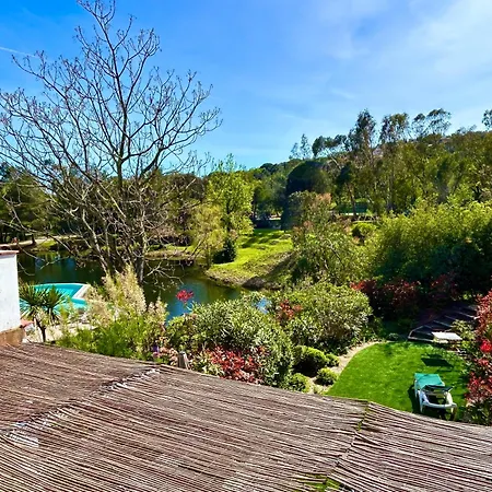 Les Restanques Maison 2 Pins 3 Holiday home Grimaud
