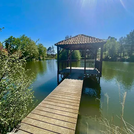 Les Restanques Maison 2 Pins 3 Grimaud